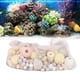 thumbnail image 4 of Anillos De Cerámica De Bolas Biológicas, Medios De Filtro Biológico De Acuario De Materiales Múltiples Saludables 700g Para Tanque De Peces ANGGREK Otros, 4 of 8