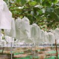 thumbnail image 4 of Coofit 100PCS Fruit Protection Bag Creative Paper Grape Protection Bag Fruit Cover Bag, 4 of 10