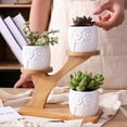thumbnail image 2 of 3 Pcs Jardinière en Céramique pour Succulentes Forme de Hibou avec Support en Bambou, 2 of 4