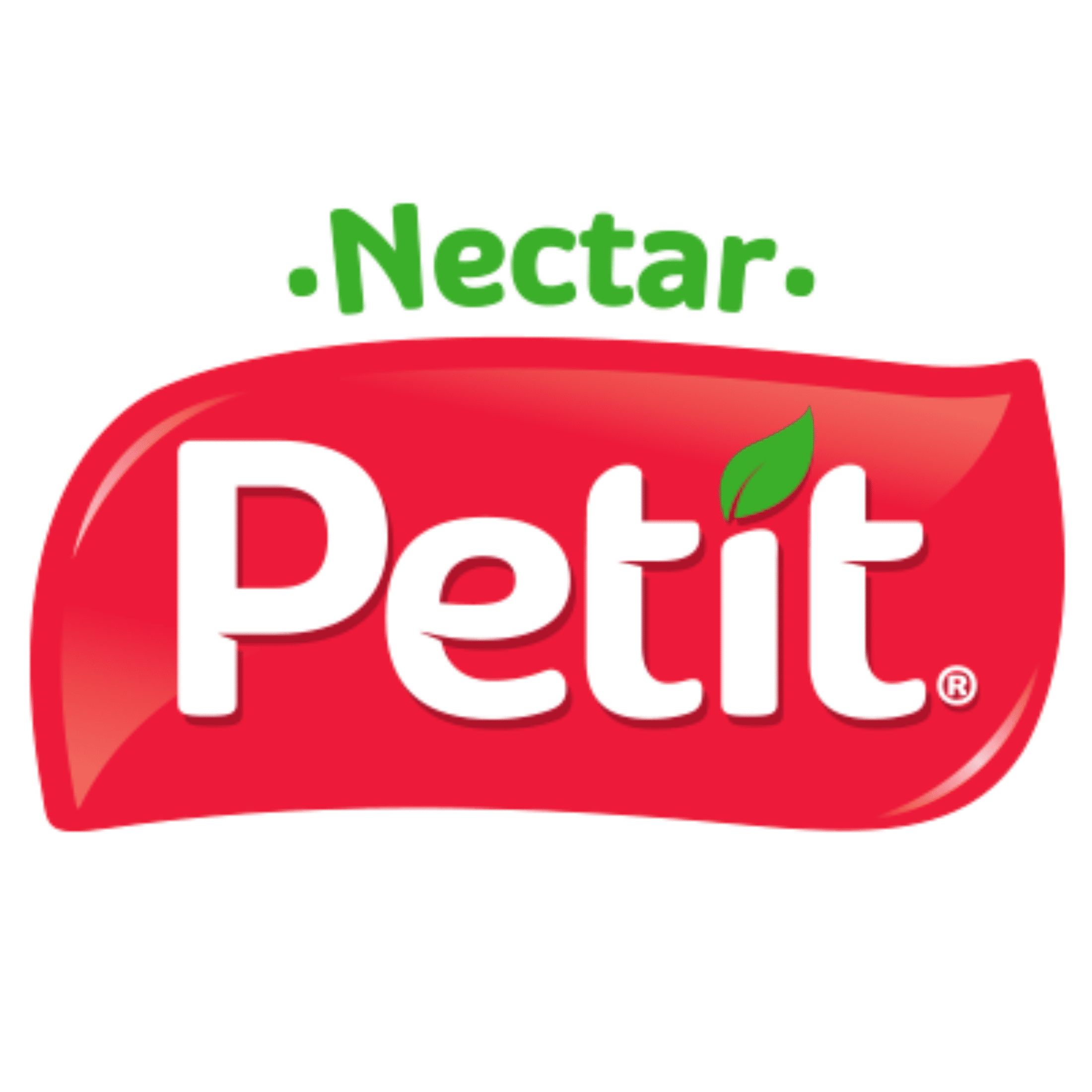 Petit Nectar Fruit Punch 1 Liter, Nectar Juice, Creamy Texture