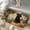 Black Cat in a Witch Hat, variant on 1pc Black Cat Ghost and Pumpkin Absorbent Non-Slip Bathroom Thickened Flannel Rug Decor,Soft,Quick Drying,Suitable For Indoor/outdoor Use,Bathrooms,Bedrooms,Kitchens,Terrace,Laundry Rooms,16"x24"