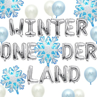 12 Inch ONE Onderland Theme Letters / One Birthday Decor / Winter Onderland  / Wonderland / 12 Inch Paper Mache Letters / 1st Birthday -  Finland
