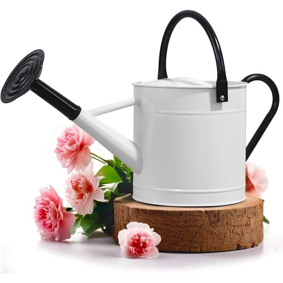 Plexon 1 Gallon Watering Can Metal, White Garden Metal Watering Can Outdoor, Indoor Metal Watering Can, Large Gardening Watering Pot, Black Galvanized Steel Handles and Removable Spray Spout