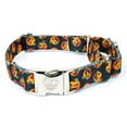 thumbnail image 3 of Country Brook Petz® Happy Jack Martingale with Premium Buckle, Large, 3 of 5
