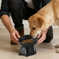 thumbnail image 3 of Elevated Ceramic Pet Feeder Bowl With Non Slip Base Ergonomic Tilted Feeding Station For Cats And Dogs(Black-13X10Cm), 3 of 5