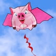 thumbnail image 4 of Cometa grande de cola de 1,6 m, fácil de volar, cometa de viento, cometa de vuelo colorida para niños y niñas Tmvgtek libre de BPA, 4 of 8