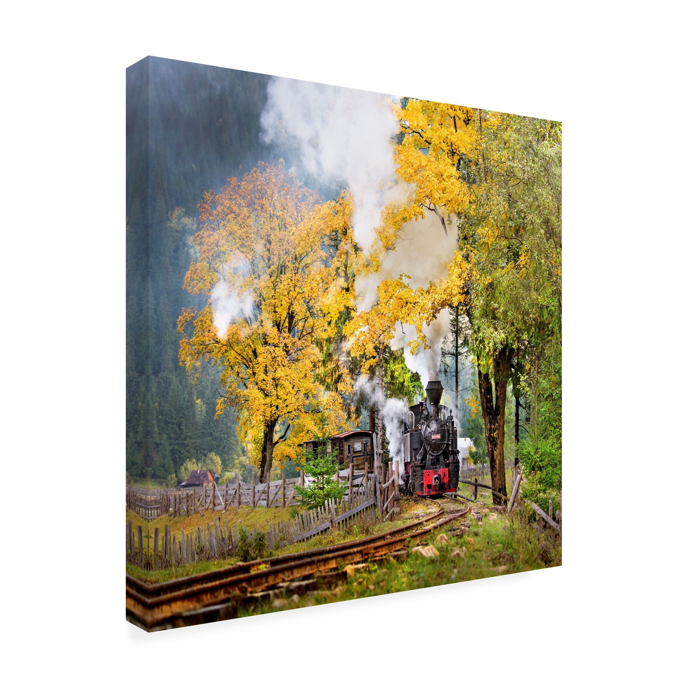Sorin Onisor 'A Sort Of Fairy Tale' Canvas Art