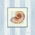 thumbnail image 2 of Tillmon, Avery 15x15 White Modern Wood Framed Museum Art Print Titled - Sanibel Shell III, 2 of 4