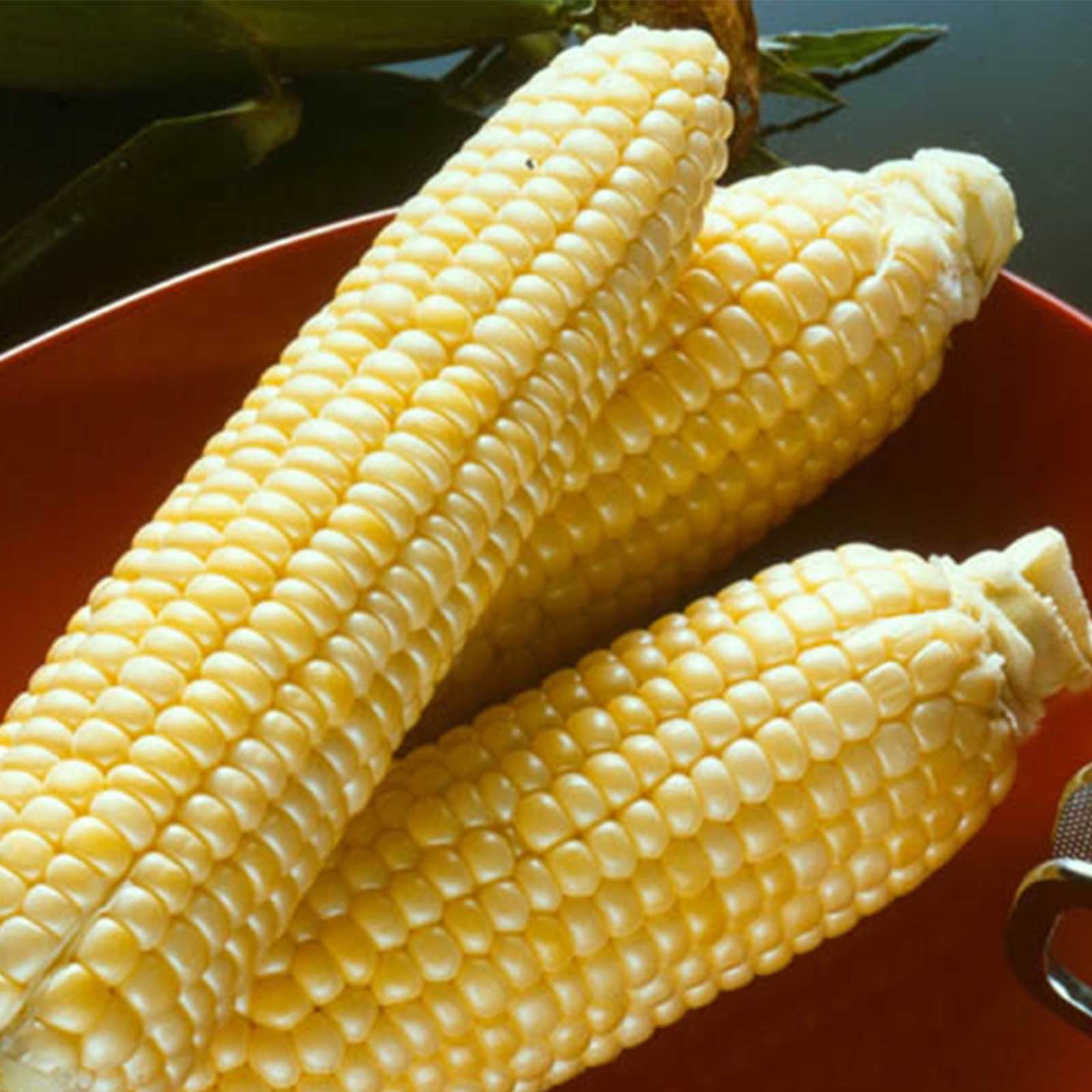 Kandy Korn Hybrid Corn - 1/2 OZ ~80 Seeds - Non-GMO Hybrid  SE Non Gmo Hybrid Se Vegetable Gardening Farm Seeds Ce19015b Dcc2 428a 898e Bee55d3cb0b4 1.4fdc22ae05cb9e4c9e040882a8d34c83