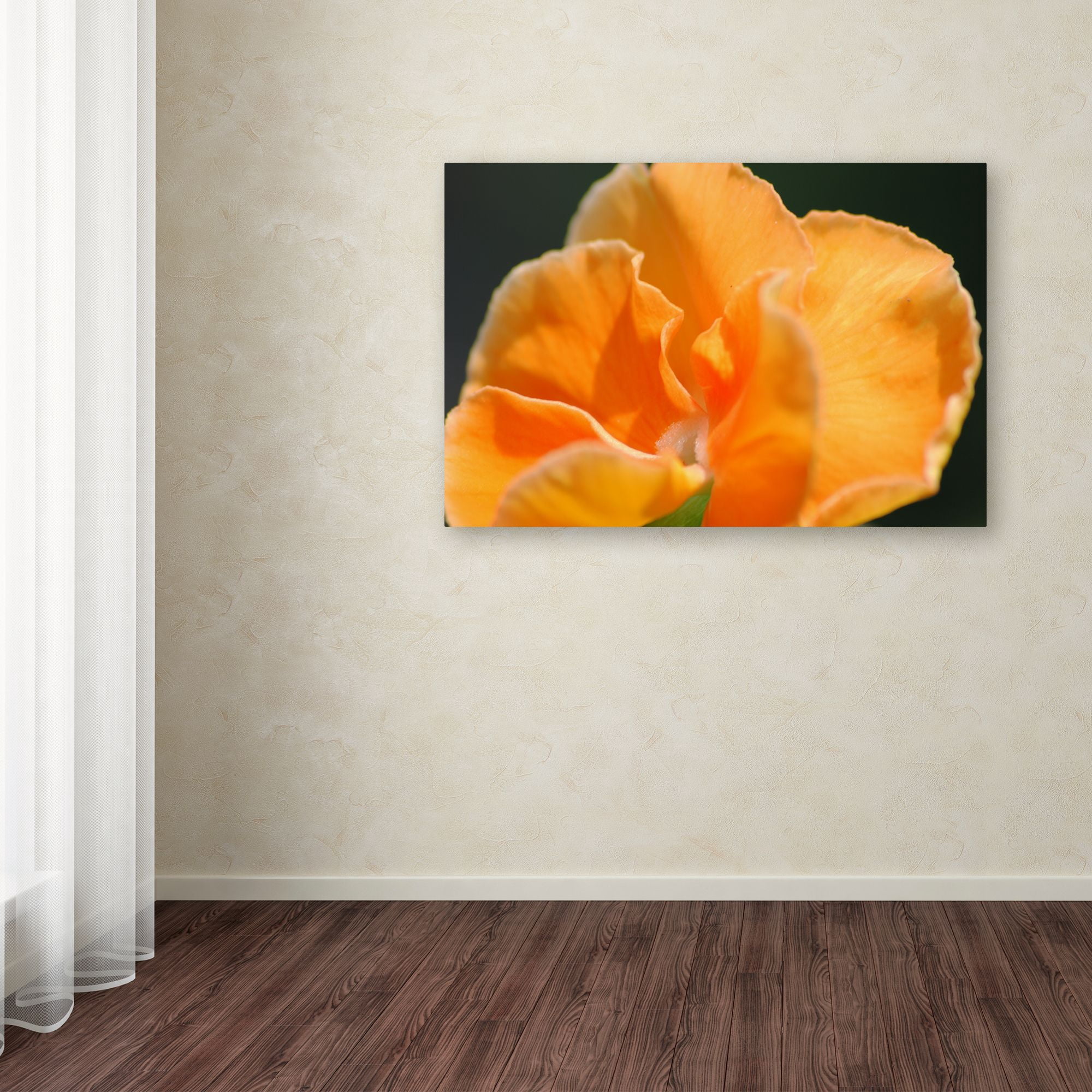 Trademark Fine Art "Simple Compassion" Canvas Art by Monica Mize