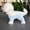 blue and yellow, variant on Cool Clothing for Dogs in Spring and Summer, Breathable and Ice Resistant Pet Sunscreen, Four Legged Clothing for Dogs in Spring and Summer