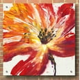 thumbnail image 3 of Epic Art 'Fleur Rouge II' by Tim O'Toole, Acrylic Glass Wall Art, 36"x36", 3 of 6