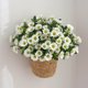 thumbnail image 1 of Ramo de Simulación de Manzanilla para Boda, Decoración Del Hogar, Crisantemo, Orquídea Saltarina, Crisantemo, Flor Artificial Pequeña y Fresca, Flor de Seda., 1 of 7