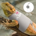 thumbnail image 4 of 2 Pack Bearded Dragon Harness and Leash Set, Escape Proof Adjustable Lizard Reptiles Harness Cute Lizard Reptile Small Animal Harness Clothes with 5FT Leash for Walking Outdoor, 4 of 7