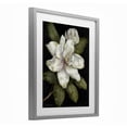 thumbnail image 2 of Stupell Industries Traditional Budding Magnolia Blooms Gray Framed Print Under Glass, 13 x 16, by Nan, 2 of 8