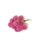 thumbnail image 1 of Ramos de plástico Billuyoard 10 piezas Taraxacum simulado decoración rosa, 1 of 6