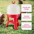 thumbnail image 5 of Little Giant 8 Gallon Tank Heavy Duty Poultry Gravity Waterer (4 Pack), 5 of 12