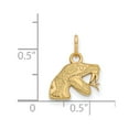 thumbnail image 2 of Real 14kt Yellow Gold LogoArt Florida A&M University XS Pendant; for Adults and Teens; for Women and Men, 2 of 2