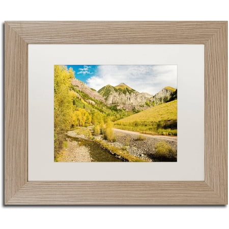 Trademark Fine Art Aspen Yellows Canvas Art by Michael Blanchette Photography White Matte Birch Frame