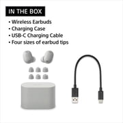 Sony WF-1000XM6 The Best Truly Wireless Noise Cancelling Earbuds - Silver