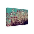 thumbnail image 2 of Trademark Fine Art 'My Summer Garden' Canvas Art by Incredi, 2 of 3