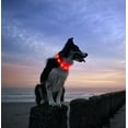 thumbnail image 5 of Collar de perro con luz LED recargable por USB - Collar de seguridad para mascotas de longitud ajustable para perros y gatos, 5 of 5