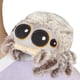 thumbnail image 1 of Muñeca de juguete con imán de hombro de araña de peluche para niños y coleccionistas, 1 of 6