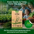 thumbnail image 3 of Organo Republic Thyme Seeds Pack – 0.5 g 1,350 Non‑GMO Heirloom Thyme Seeds – Indoor and Outdoor Herb Seed Packet for Home Garden & Hydroponics, 3 of 6
