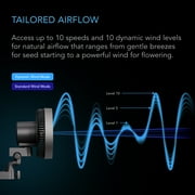 AC Infinity CLOUDRAY S6, Grow Tent Clip Fan 6” with Redesigned Long-Life EC Motor, Custom 10-Level Dynamic Wind Speeds & Oscillation, Weatherproof IP-54, for Hydroponics Circulation Cooling
