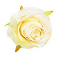 thumbnail image 2 of Cabeza de flor de seda, decoración floral artificial, material artesanal, elegante decoración del hogar, para bodas, cabeza de flor artificial, suministros para manualidades, planta, 2 of 8