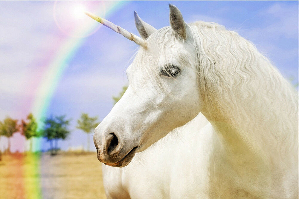 Unicorns and Rainbows CANVAS OR PRINT WALL ART