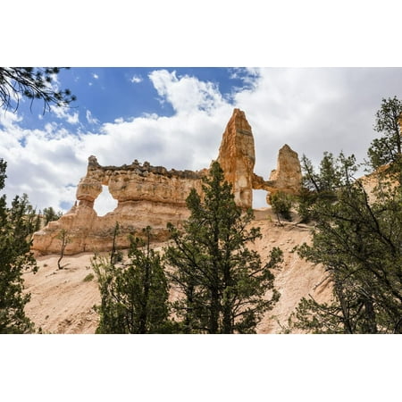 View of Two Towers Bridge from the Fairyland Trail in Bryce Canyon National Park, Utah, United Stat Print Wall Art By Michael