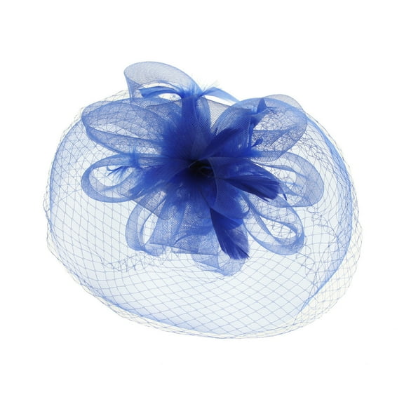 Chic Headwear Mesh Veil Feathered Loop Flower Fascinator - Royal