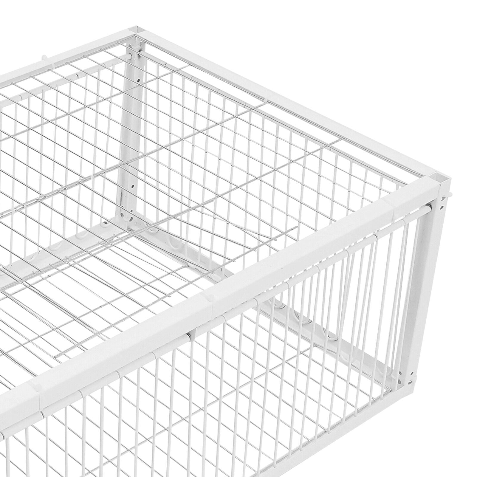 4 Holes Iron Quail Feeder Pigeon Dove Bird Outside Of Cage with One-Way Entry