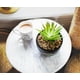thumbnail image 5 of Planta decorativa artificial con vegetación artificial Silver Buffalo, 5 of 7