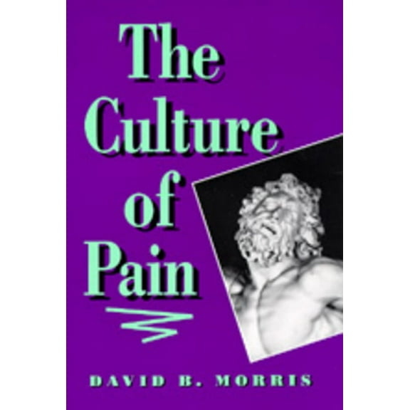The Culture of Pain (Edition 1) (Paperback)