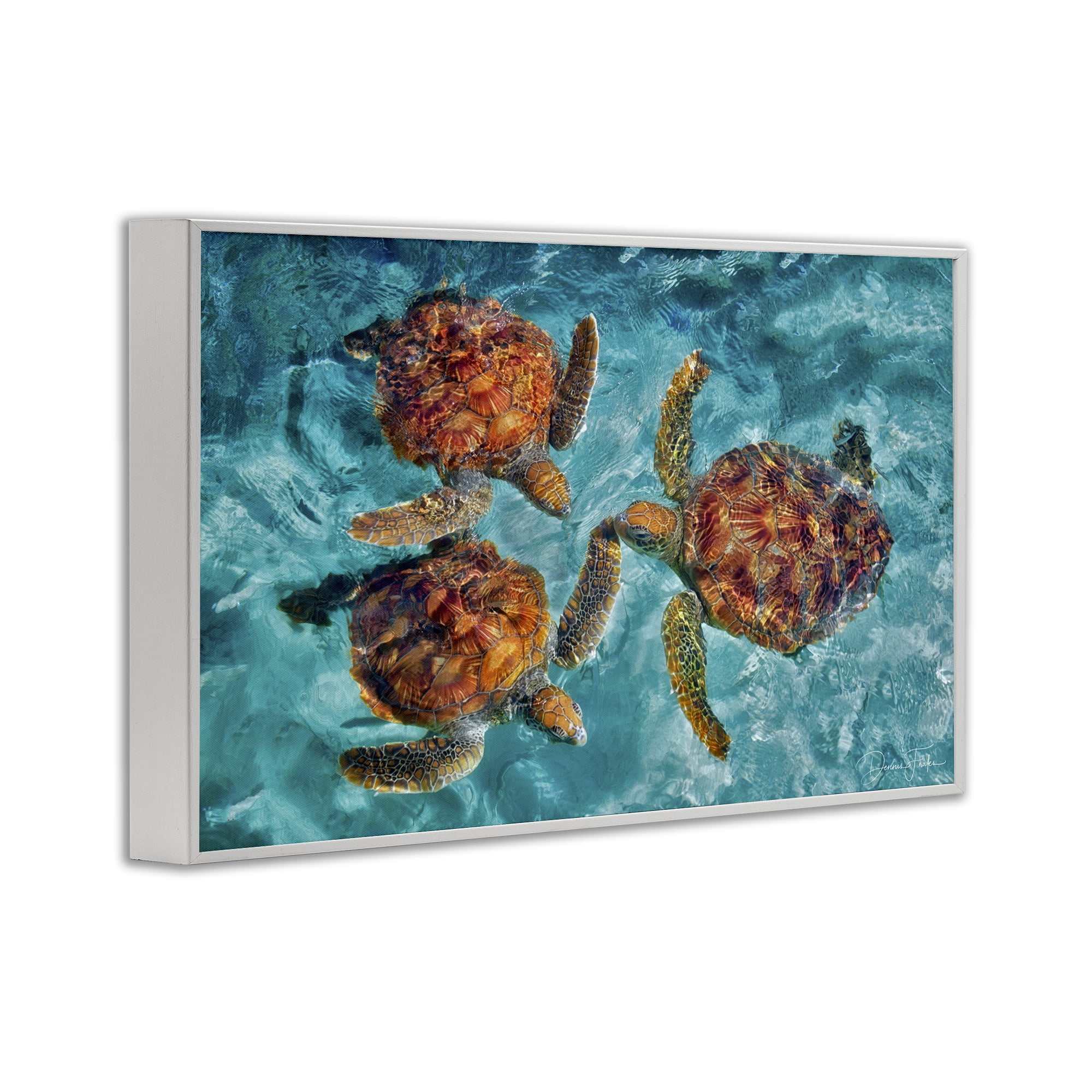Stupell Industries Swimming Tortoise Trio Animals & Insects Painting White Framed Art Print Wall Art, 18 x 12