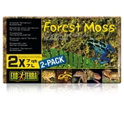 Exo-Terra Forest Plume Moss