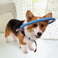 thumbnail image 3 of Caja Fuerte Para Perros Ciegos, Ayuda Para Perros A Proteger El Ala De ángel Tnfeeon Anillo Para Mascotas Para Perros Ciegos Comportamiento Azul S, 3 of 7