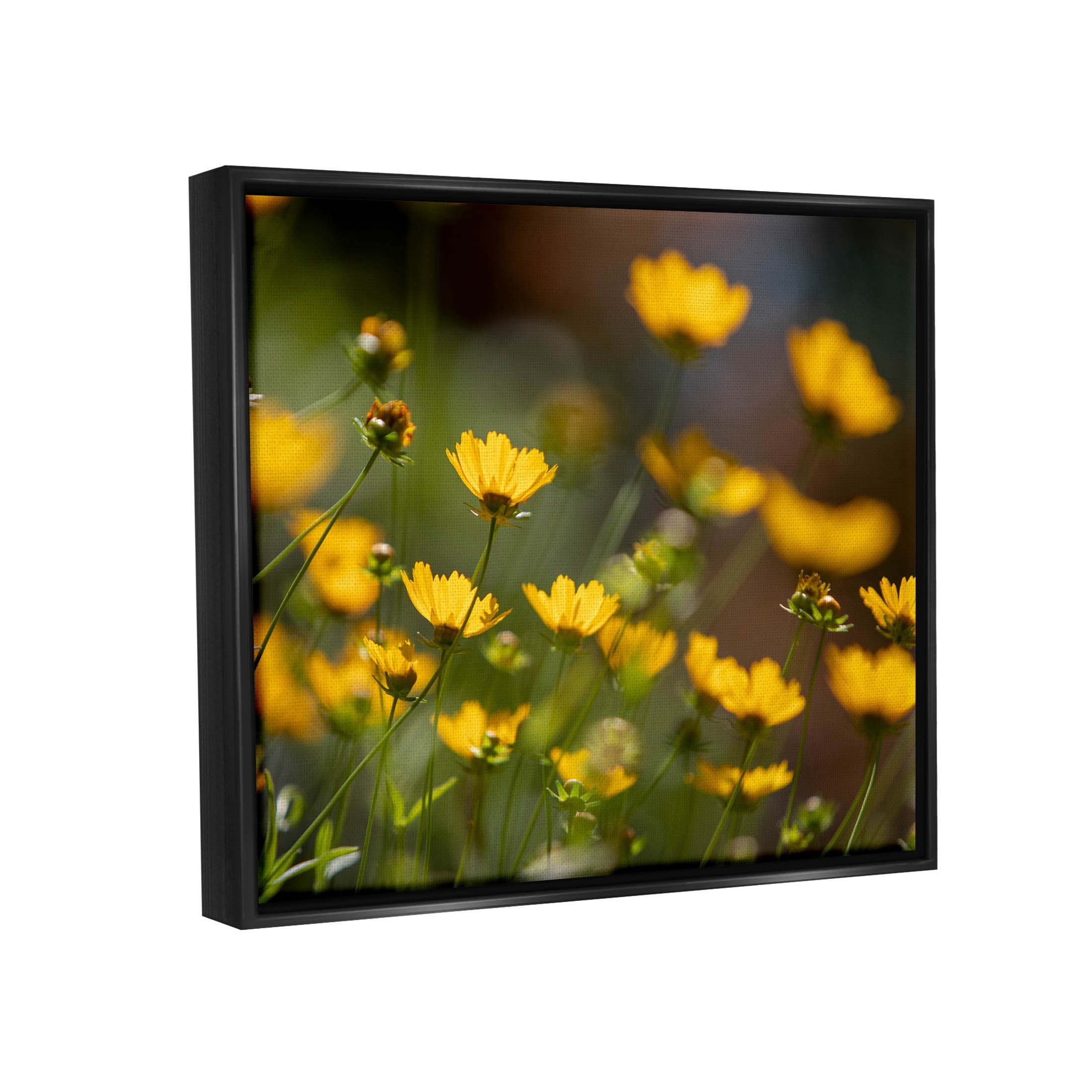 Yellow Daisy Wildflower Field Botanical & Floral Photograph Jet Black Framed Art Print Wall Art
