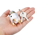 thumbnail image 2 of Interruptor de encendido, interruptor de encendido de 4 posiciones con llave Afortunado Sencillez, 2 of 5