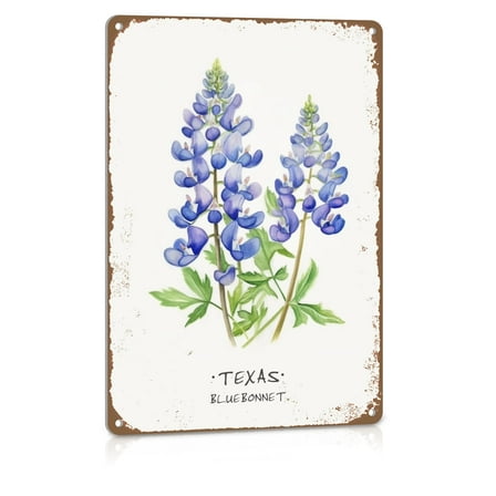 Texas Bluebonnet Decor For Home Texas Souvenirs Gifts For Women Texas Wall Art Kitchen Metal Sign Vintage Decor Bathroom Tin Sign Size: 8 x 12 Inch