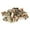 Gold, variant on Amdohai 90PCS Mixed Zinc Plated Carbon Steel Flat Head Rivet Nut Kit M3/4/5/6/8/10/12