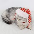 thumbnail image 1 of Sombrero de mascota ajustable de Navidad Colco Lei Feng Súper cálido, 1 of 8