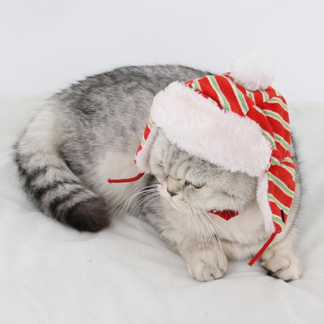 Sombrero de mascota ajustable de Navidad Colco Lei Feng Súper cálido