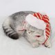 thumbnail image 3 of Sombrero Precioso Del Invierno Del Calor De Y Del Animal Doméstico Para Del Perro jinwen Sombrero de mascota Lei Feng, 3 of 8