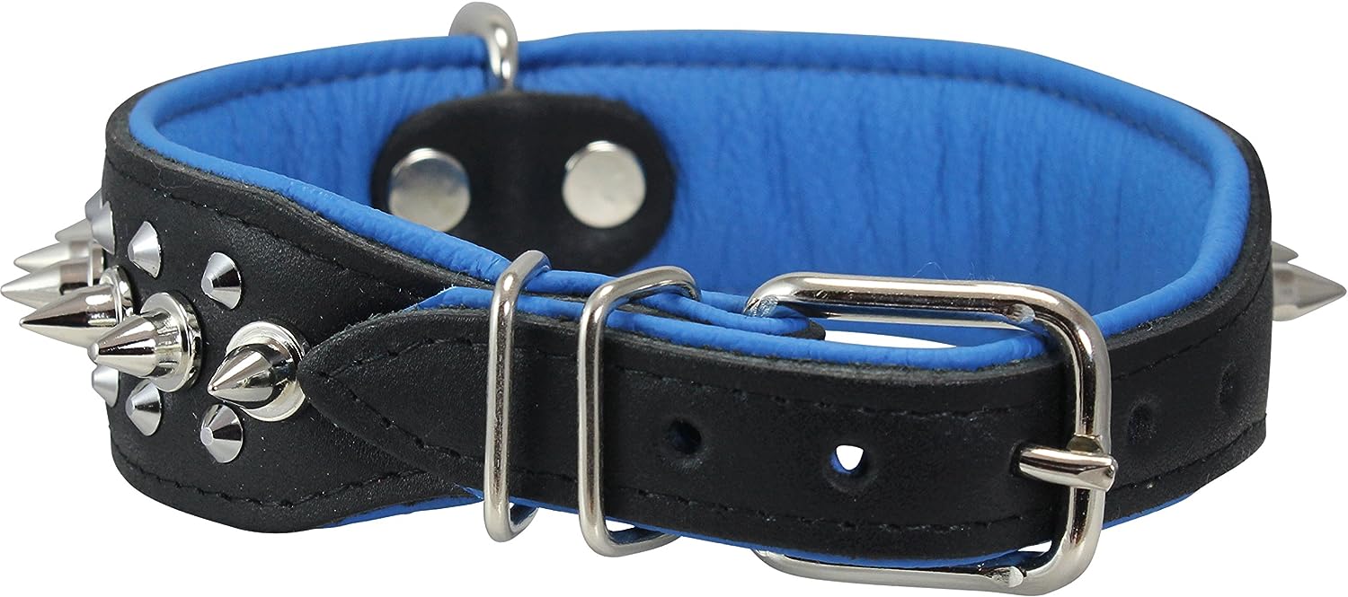 Dogs My love Spiked Studded Genuine Leather Dog Collar 1.75" Wide (14"-17" Neck; 1.75" Wide, Black/Blue)