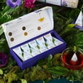 thumbnail image 2 of Tea Forte Demoiselle Premium Tea Petite Presentation Box, Tea Sampler Gift Set, 10 Count, 1 of Each Variety Individually Wrapped Handcrafted Pyramid Infuser Bags, 2 of 9