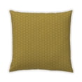 thumbnail image 1 of Ahgly Company Indoor Square Contemporary Throw Pillow, 18 inch by 18 inch, 1 of 5