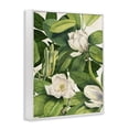 thumbnail image 3 of Stupell Industries Flowering White Blossoms Floral Painting White Framed Art Print Wall Art, 11 x 14, 3 of 8